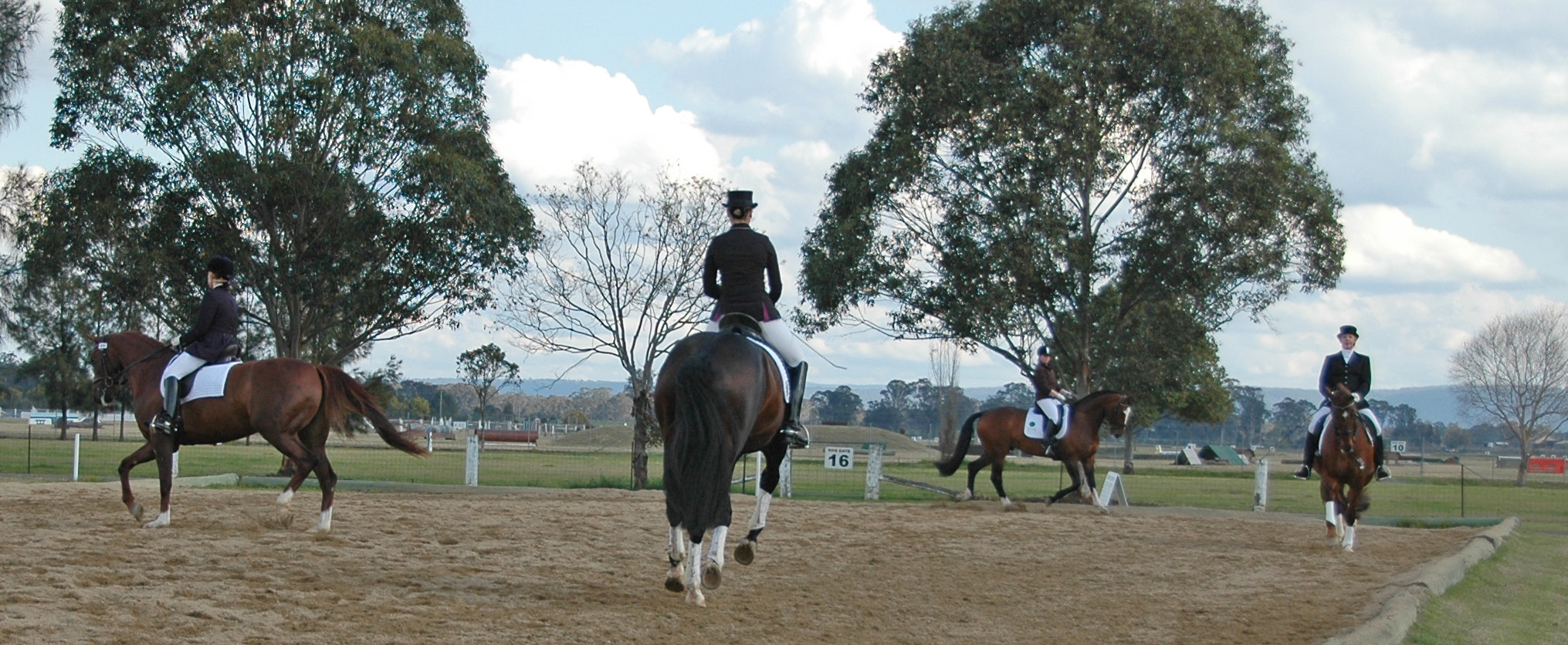 Etiquette for WarmUp Arena Dressage New South Wales